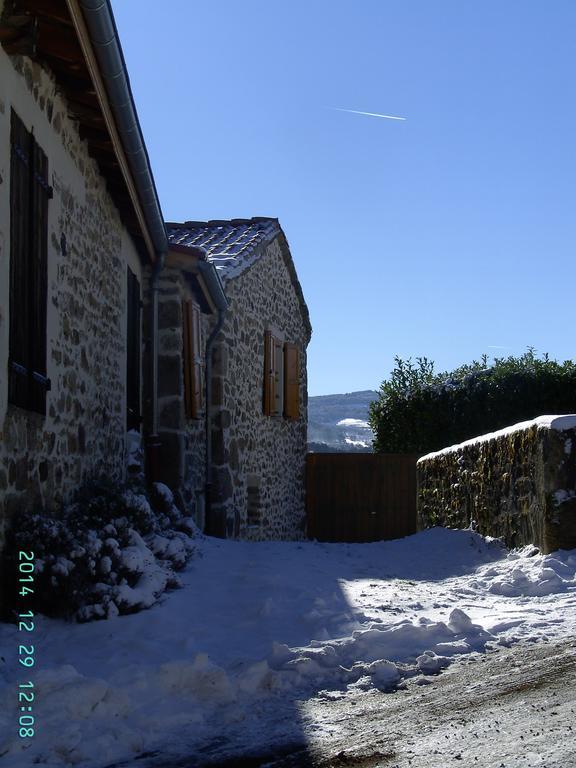 Villa Cellier De La Fontaine Saint-Georges-en-Couzan Zimmer foto