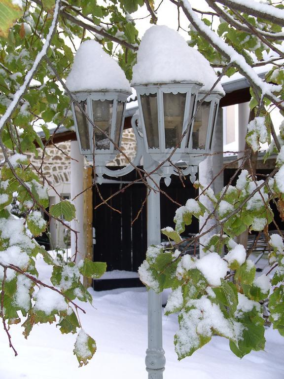 Villa Cellier De La Fontaine Saint-Georges-en-Couzan Zimmer foto